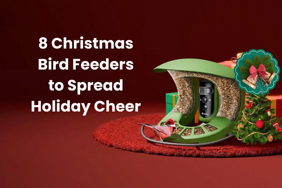 unique christmas bird feeders