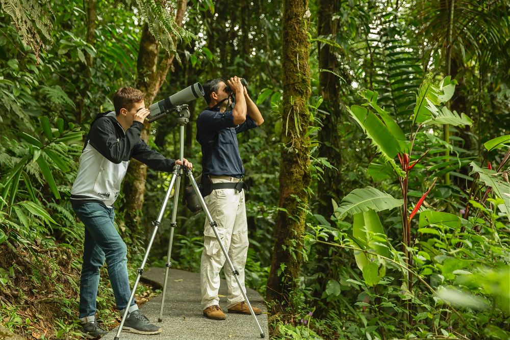Is Virtual Birding Good for Us?