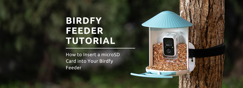 How to Insert a microSD Card into Your Birdfy Feeder