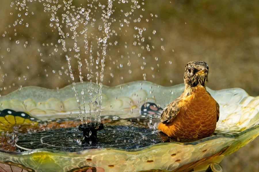 best bird baths
