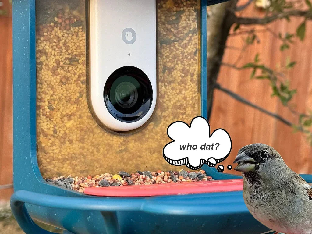 2026 Bird Buddy April Coupon Codes: Latest Discount Codes