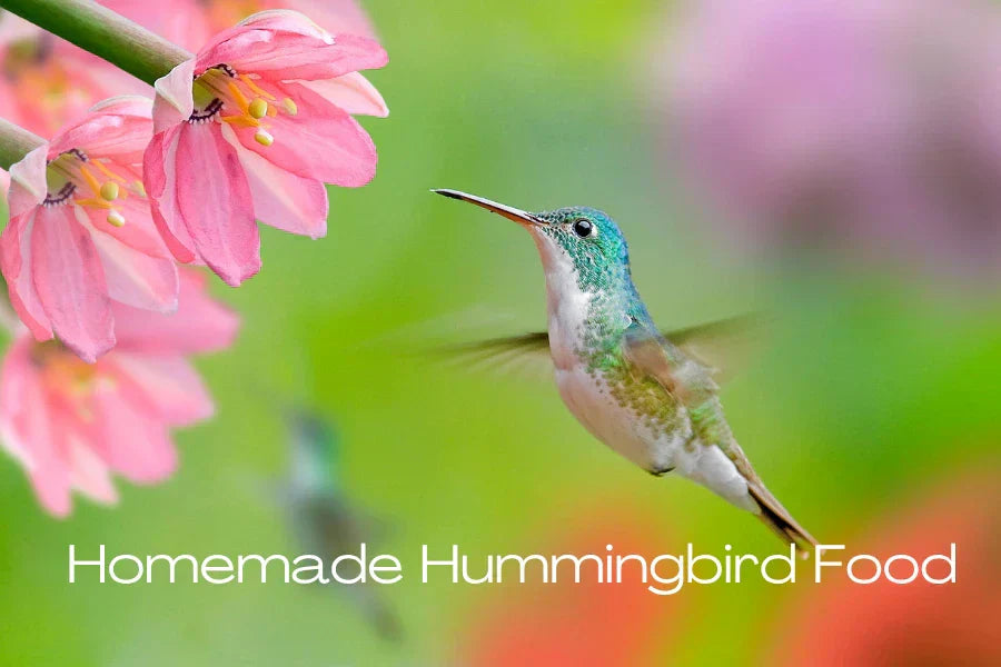 how to make hummingbird food