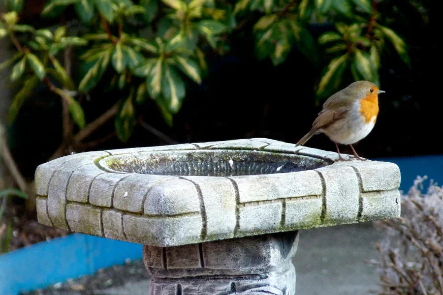 best material for bird bath