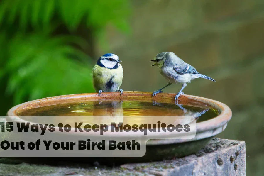 how to keep mosquitoes out of bird bath