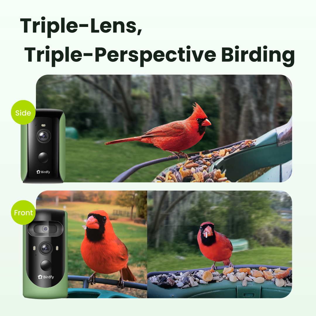 Birdfy feeder2 duo