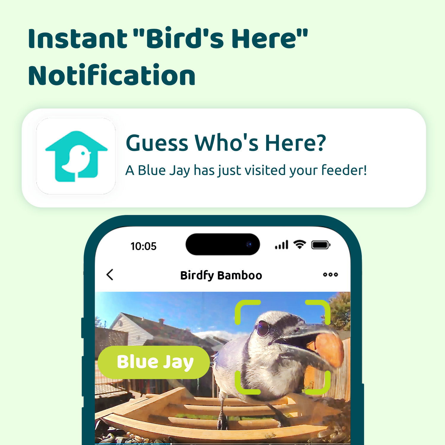 Birdfy Feeder Bamboo - Smart Bird Feeder with Eco-friendly Material