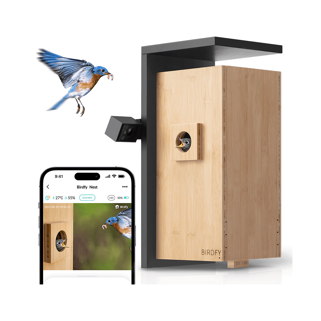 Birdfy Nest Smart Bird House with Dual Cameras