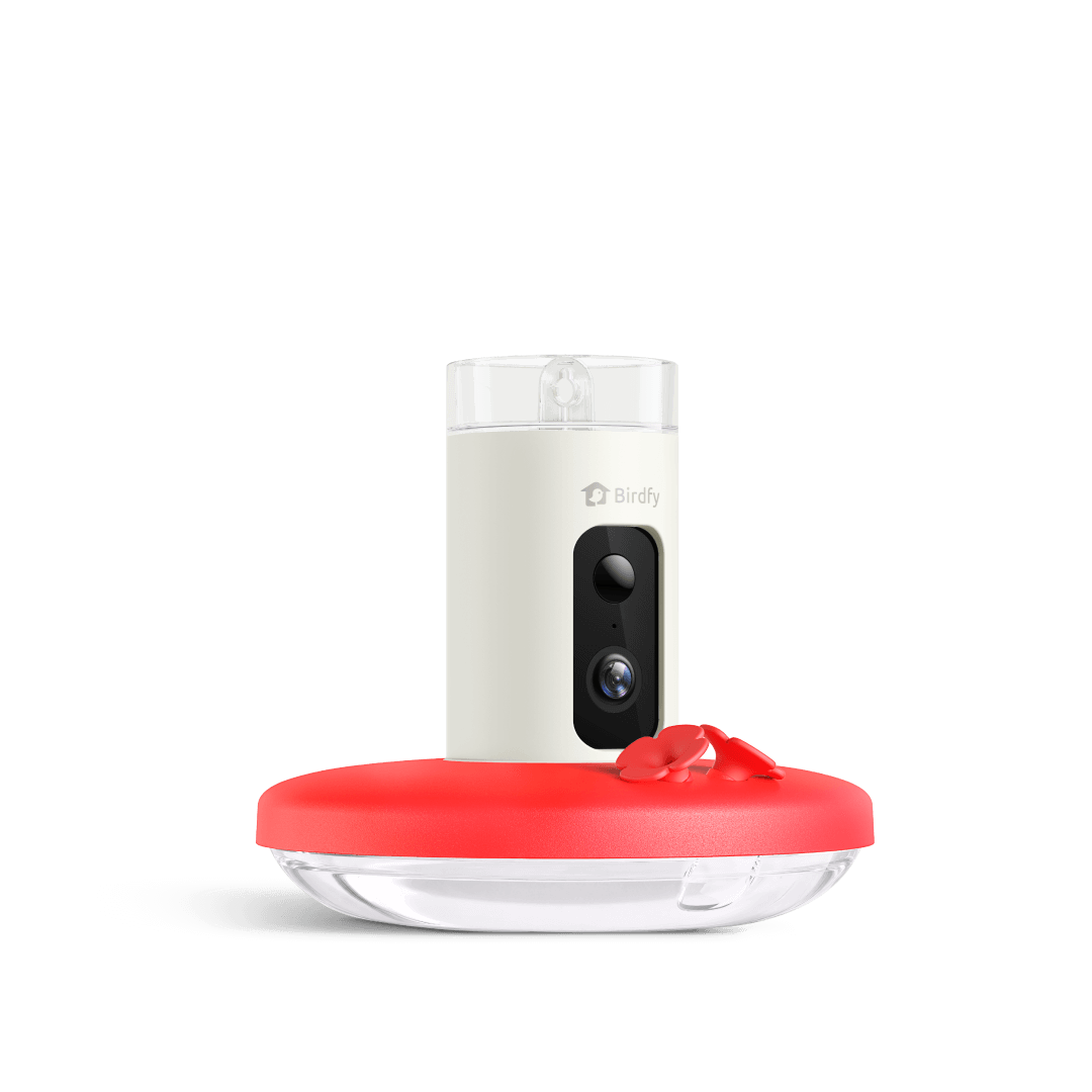 Birdfy Hum Feeder - Hummingbird Feeder with Camera
