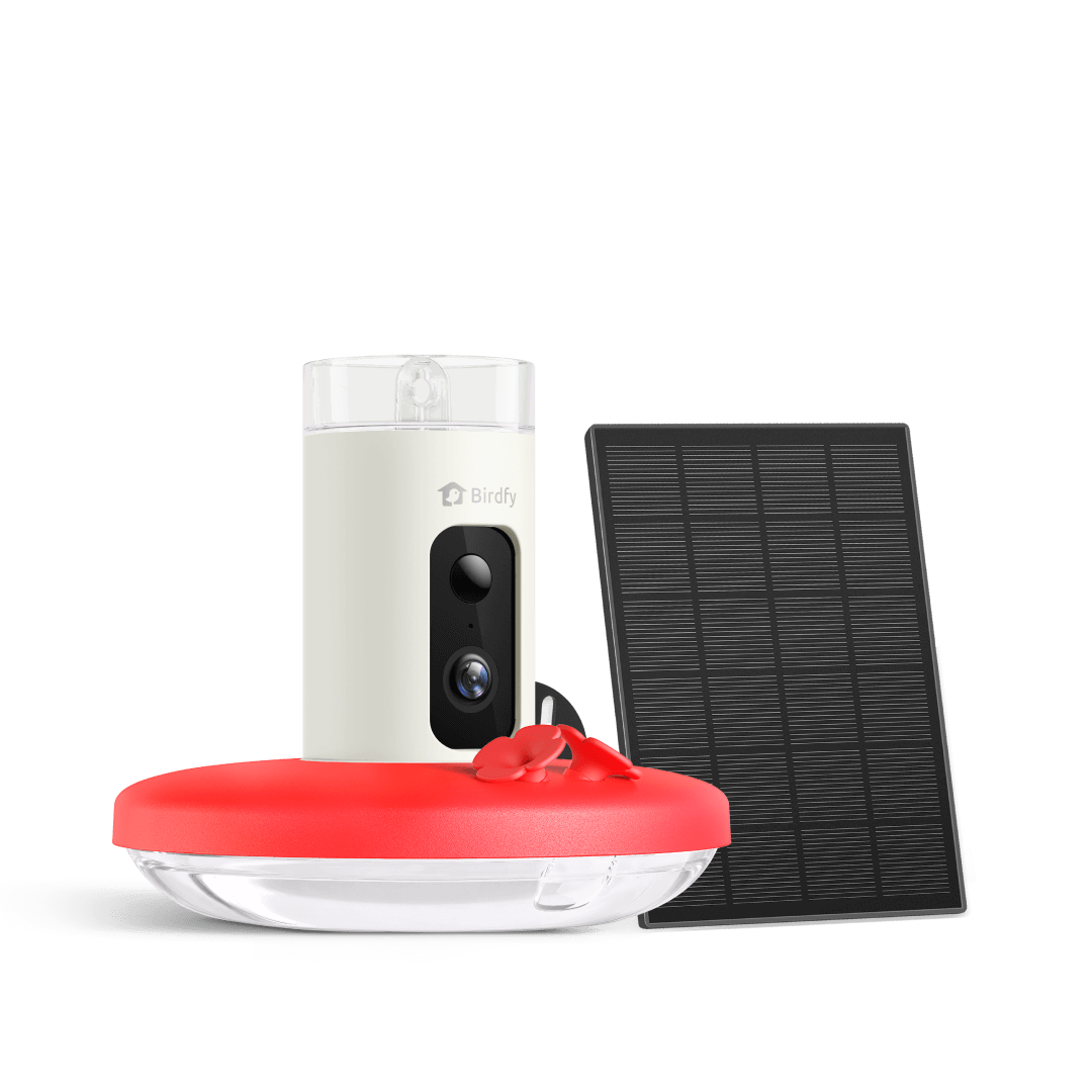 Birdfy Hum Feeder - Hummingbird Feeder with Camera
