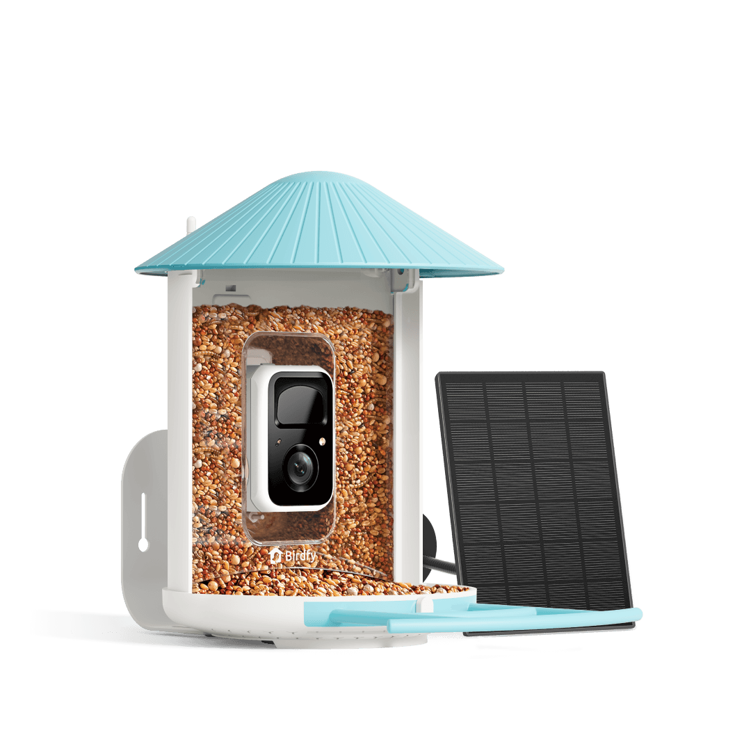 Solar Powered Window Bird Feeder Camera: Capture Stunning Bird Moments