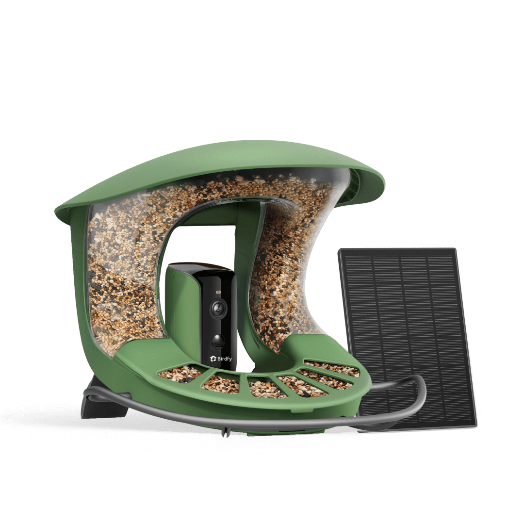 Birdfy Feeder 2 - Smart Bird Feeder