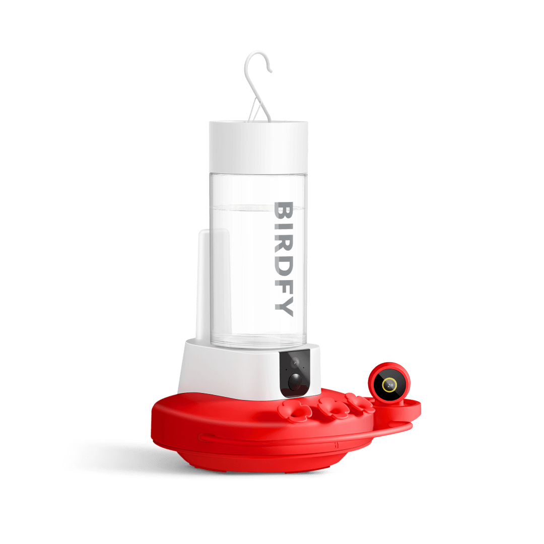 Birdfy Hum Feeder Duo - Hummingbird Feeder with Dual Camera