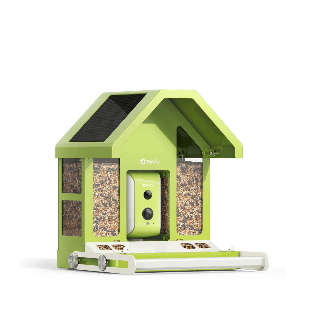 Birdfy Feeder Metal - Smart Metal Feeder with Camera
