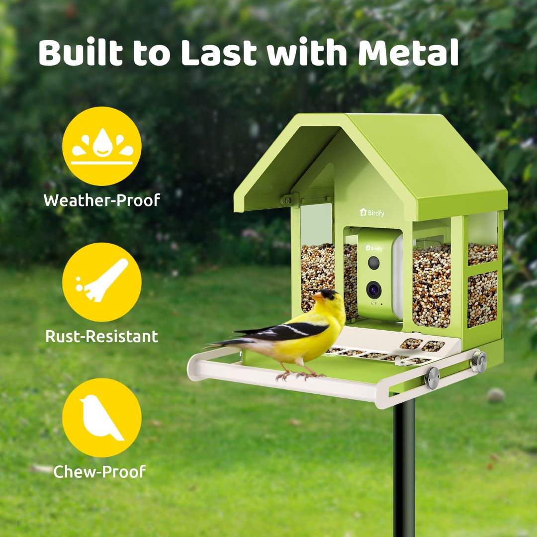 Birdfy Feeder Metal - Smart Metal Feeder with Camera