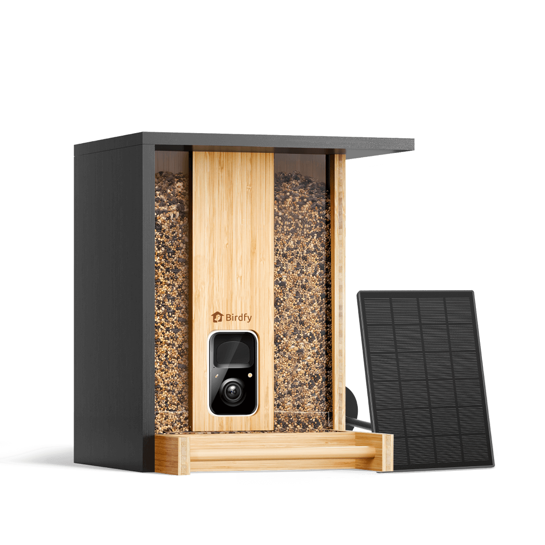 Birdfy Feeder Bamboo - Smart Bird Feeder with Eco-friendly Material
