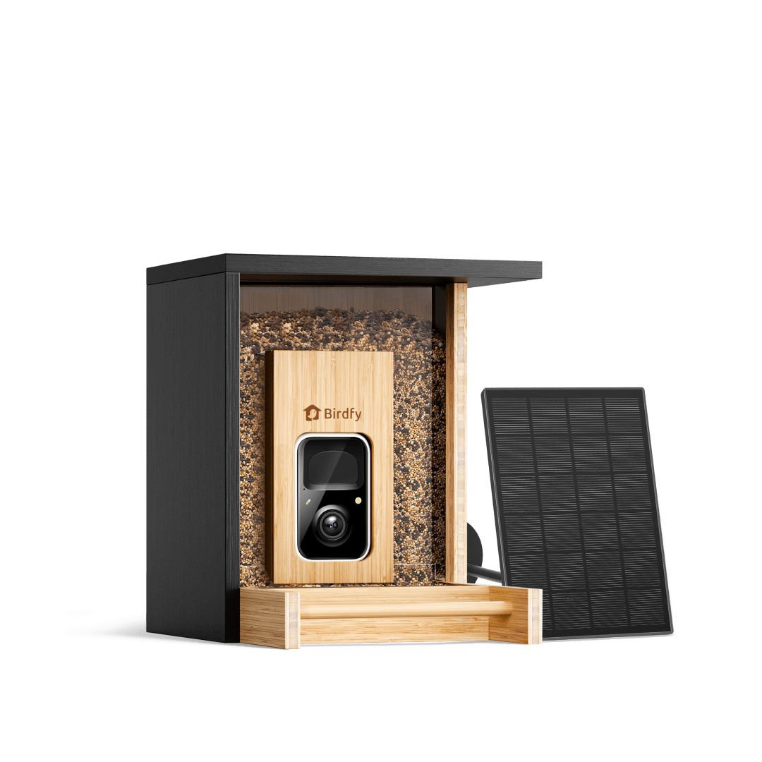 Birdfy Feeder Bamboo Mini - Bird Feeder With Camera