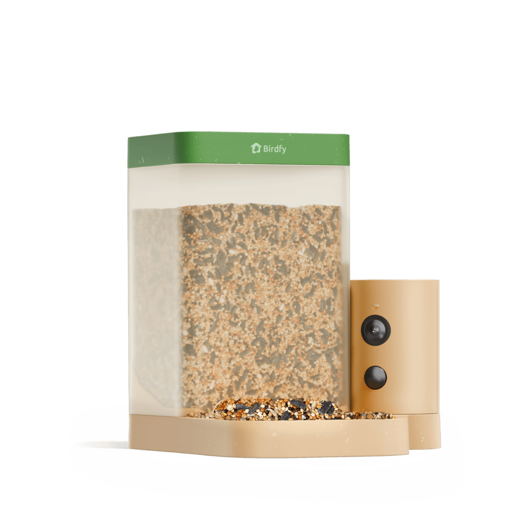 Birdfy Feeder Rookie - Beginner-Friendly Smart Bird Feeder