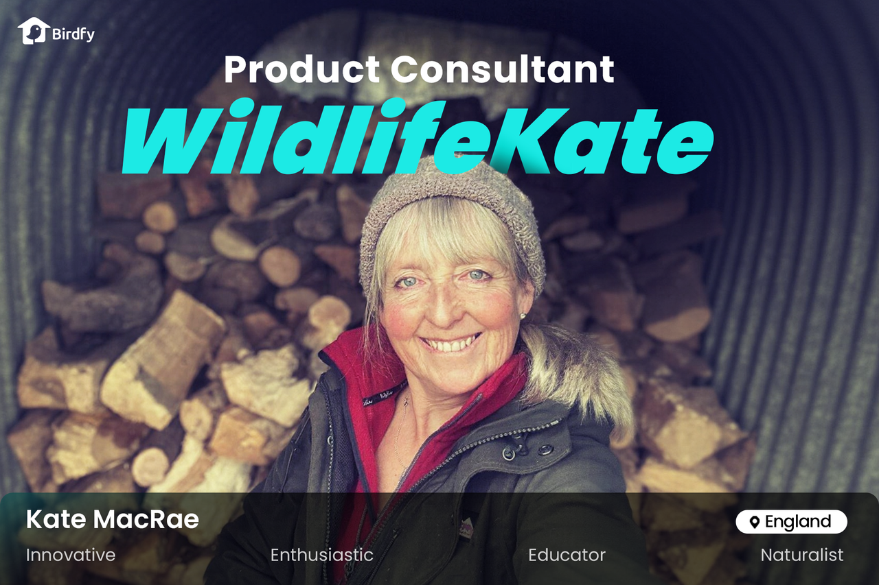 Birdfy Strikes Partnership With Esteemed Naturalist WildlifeKate to Boost Birdwatching Products Upgrade