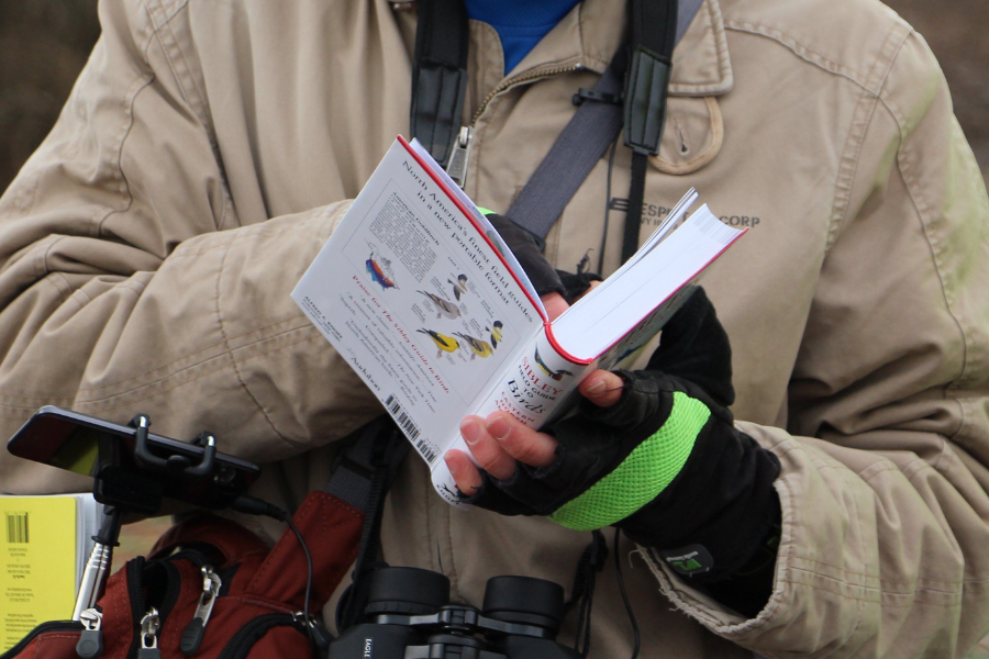 How to be a Birder Series 2: Equipment - What You Need