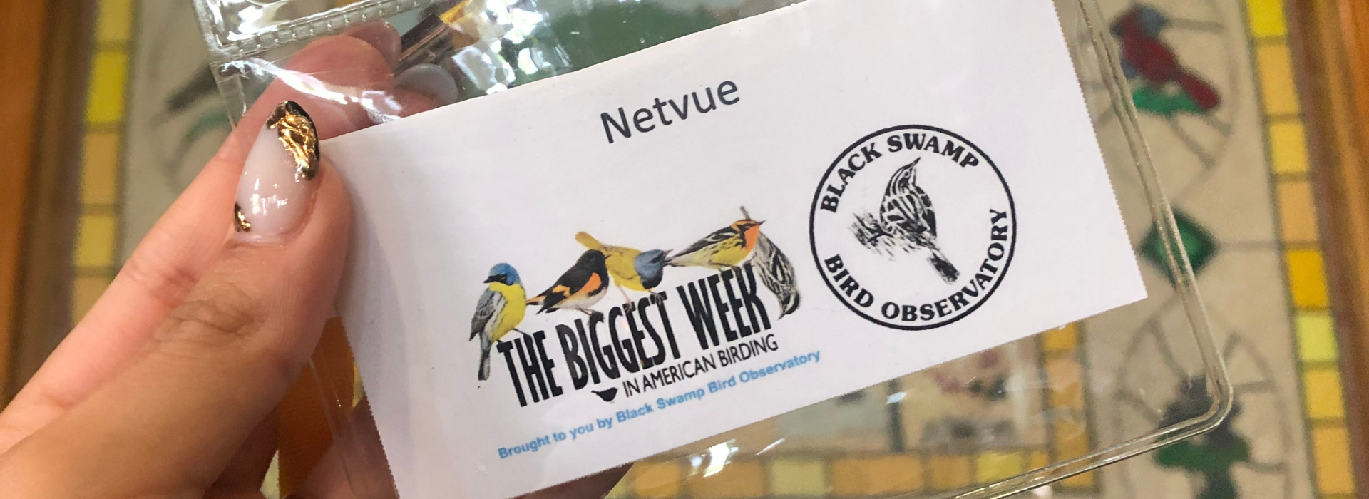 Biggest Week in American Birding – Birdfy