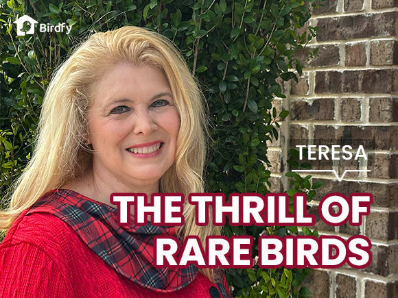 Through the Lens of a Birdfy, She Found Fun and Peace from a Hidden World