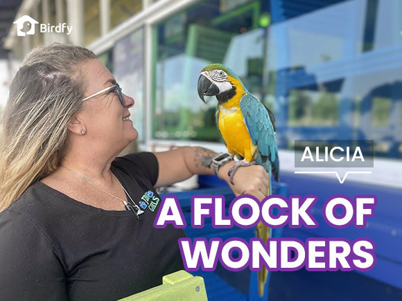 An Unexpected Journey Back to Peace Through Backyard Wildlife