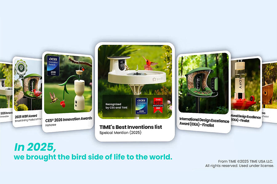 Birdfy 2025 Highlights: Exploring The Bird Side of Life