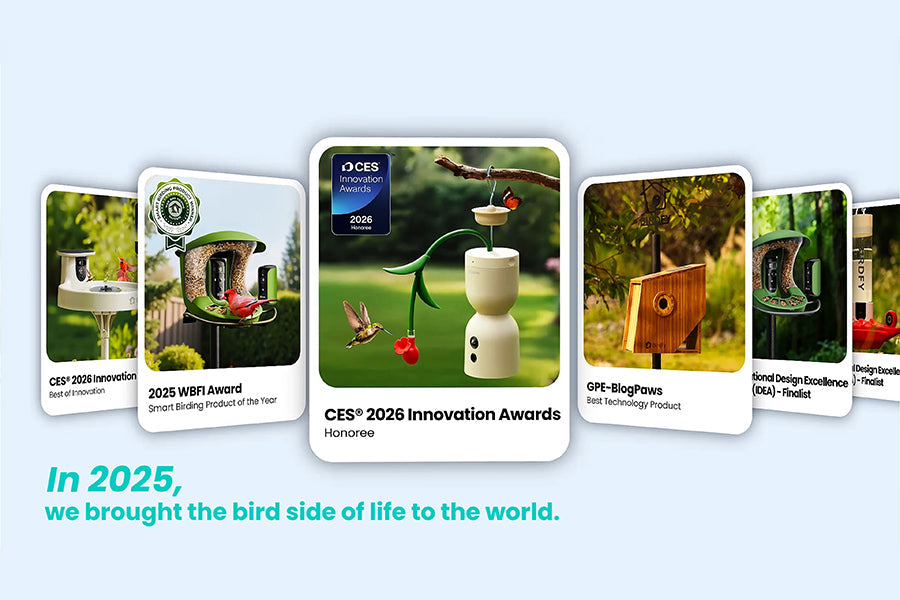 Birdfy 2025 Highlights: Exploring The Bird Side of Life