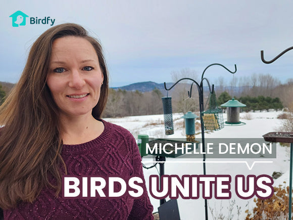 A Gift of Wings: The Bird Feeder That Became Our Family’s New Shared Hobby