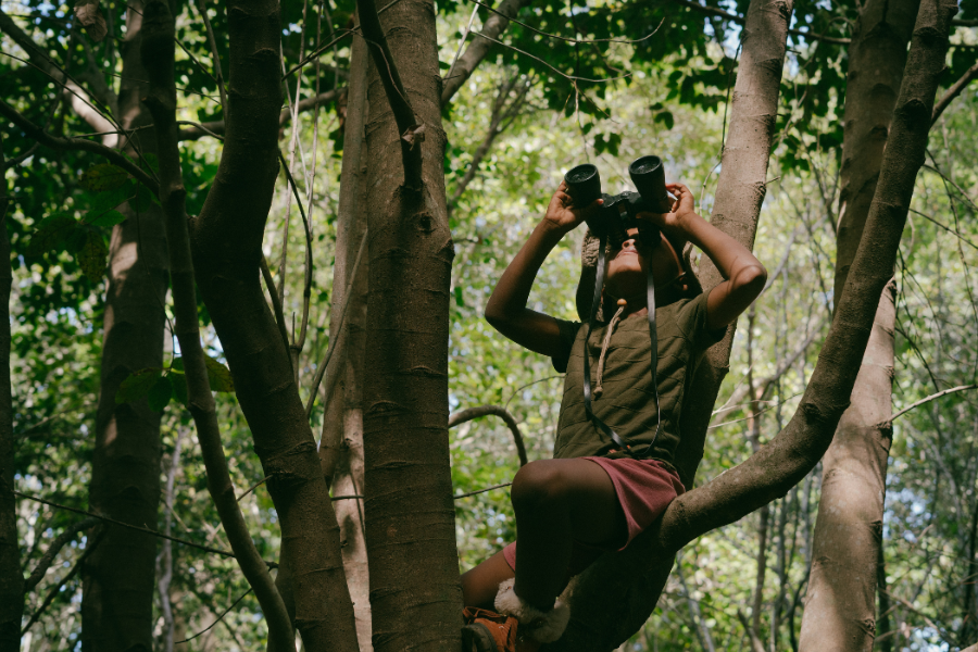 How to be a Birder Series 4: Identifying Birds by Sound