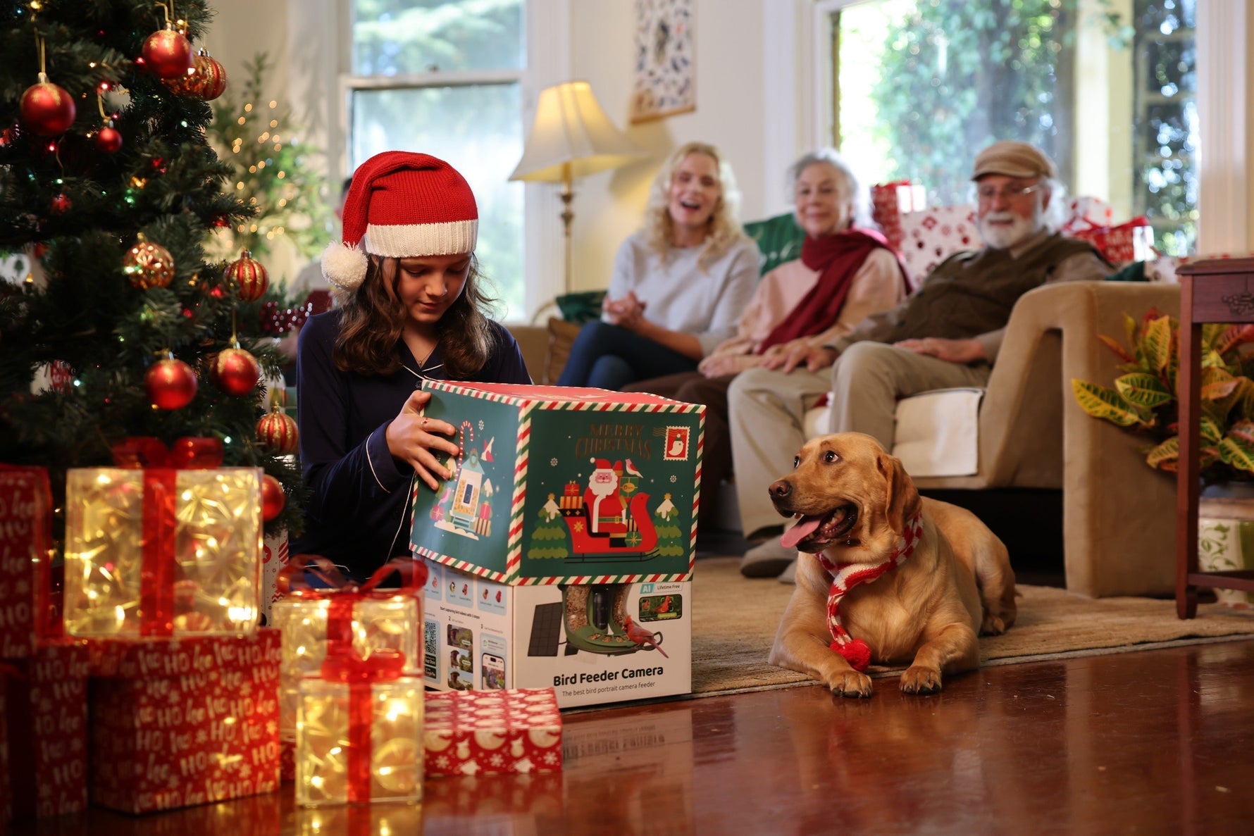 Birdfy Unveils Christmas Limited Editions With Heartwarming Ad and Online Event