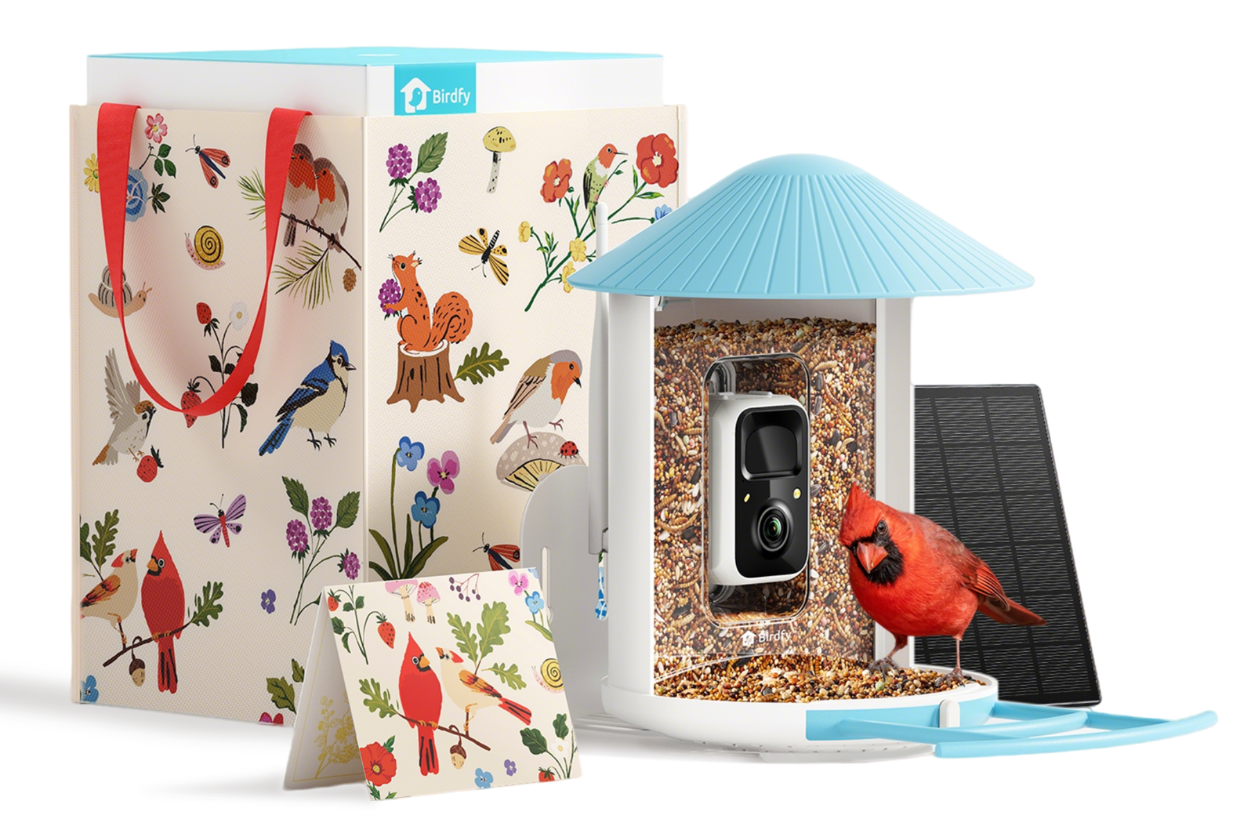 Birdfy Releases Limited-Edition Packaging to Present an Unparalleled Gifting Experience