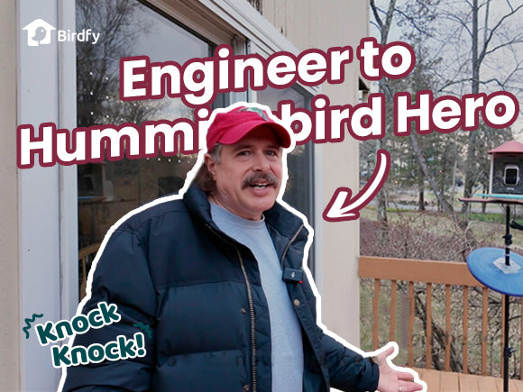 The World’s Tiniest Bird Turned an Engineer Into a “Bird Nerd”?
