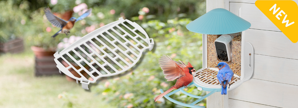Introducing Birdfy Anti-scattering Cover: Enhancing Your Bird-Feeding Experience