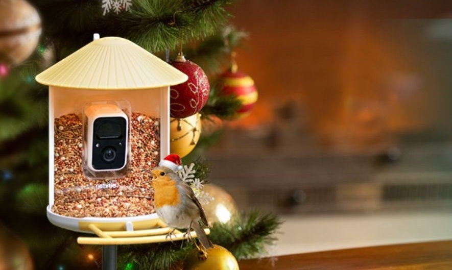 The Perfect Christmas Gift for Everyone on Your List
