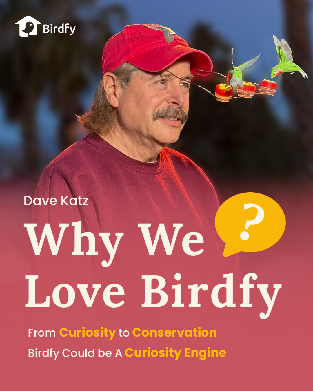 An Engineer's New Mission：Face-to-Face with the World's Tiniest Bird | 🎥Why We Love Birdfy