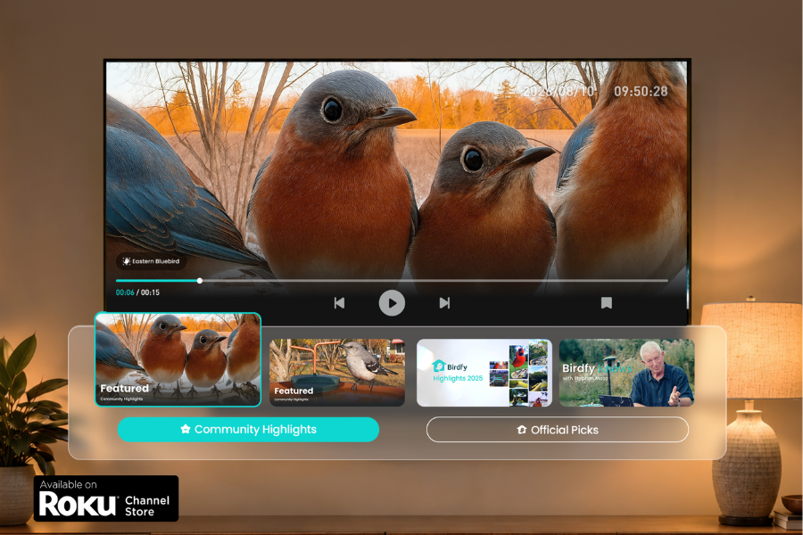 Birdfy App Launches on Roku OS-Powered TVs, Delivering Immersive Birdwatching Experiences on Bigger Screens