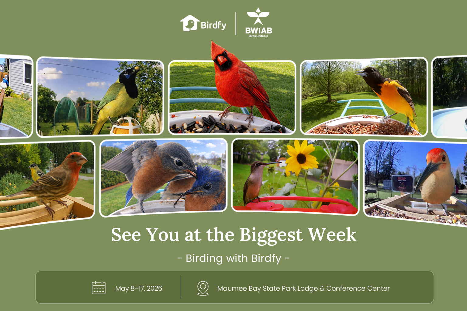 Birdfy Attends the 2026 Biggest Week in American Birding With Well-Acclaimed Smart Birding Innovations
