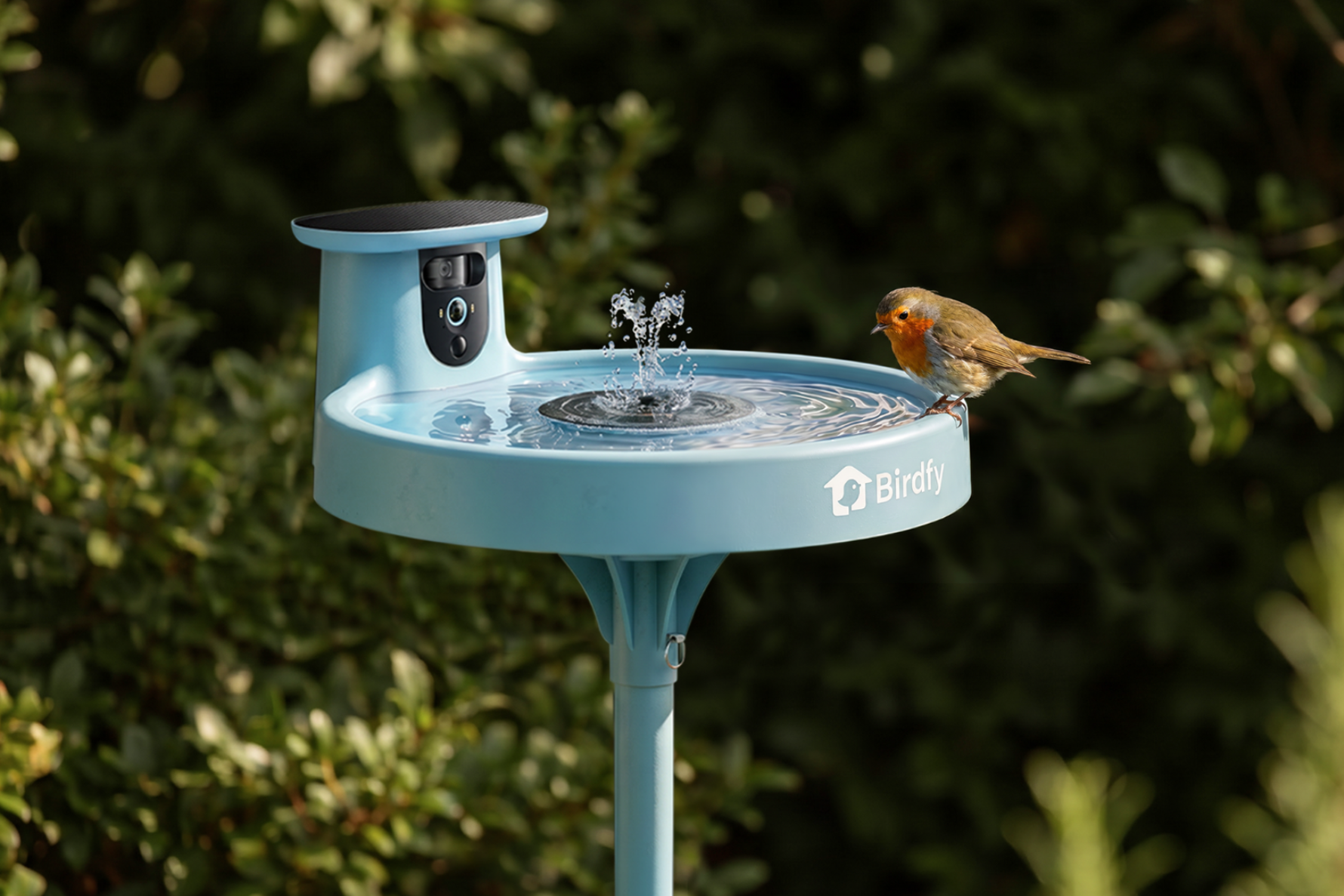 Before Summer Ends, Bring Home Birdfy's Award-Winning Bird Baths to Help Feathered Friends Stay Cool