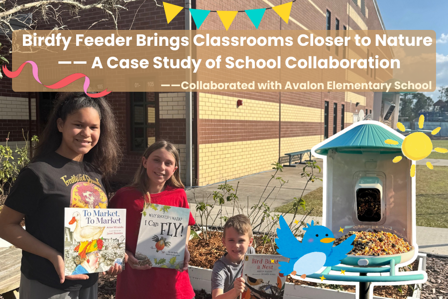 Birdfy Feeder Brings Classrooms Closer to Nature —— A Case Study of School Collaboration