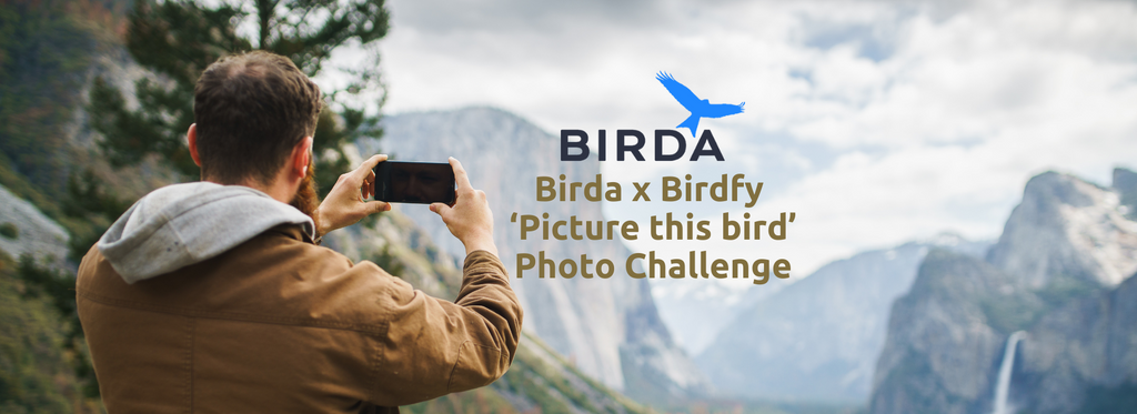 Birda x Birdfy 'Picture this bird' Photo Challenge