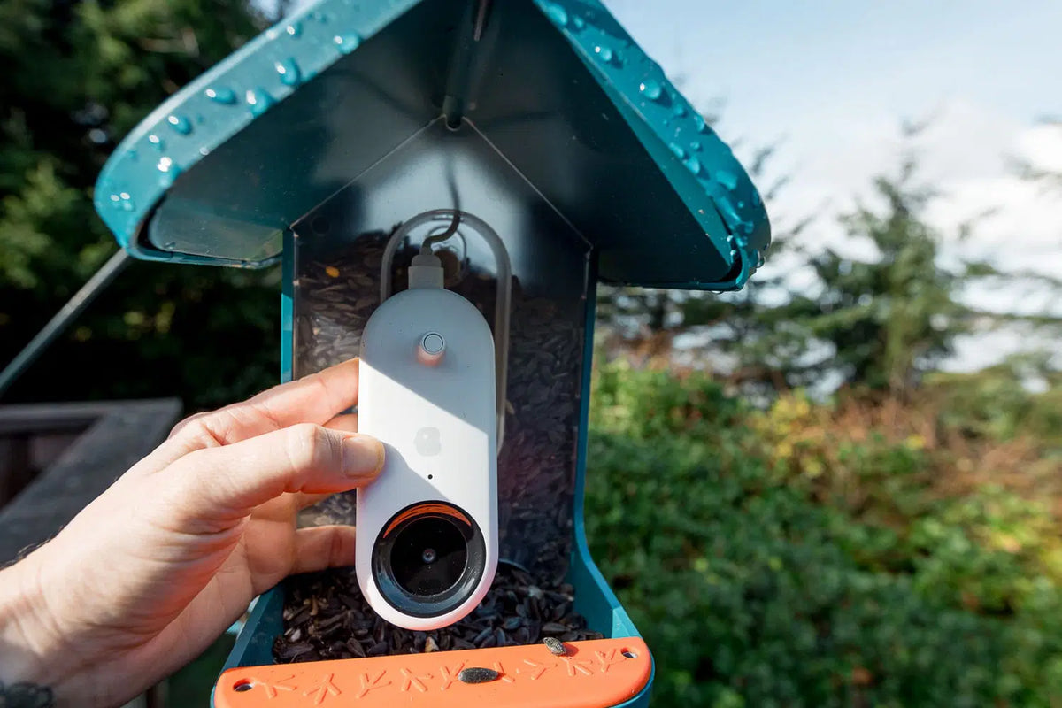 Bird Buddy Not Charging? Here's How to Fix It (Complete 2026 Guide)