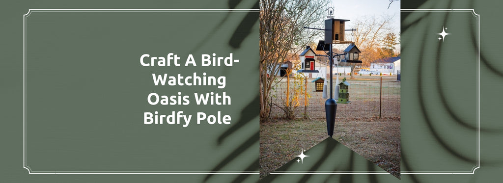 Birdfy Pole: a Bird-watching Oasis