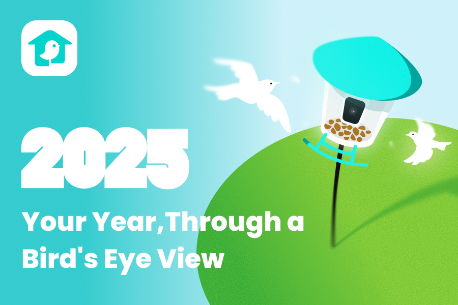 Introducing Birdfy Rewind: Your 2025 Birding Stats Recap