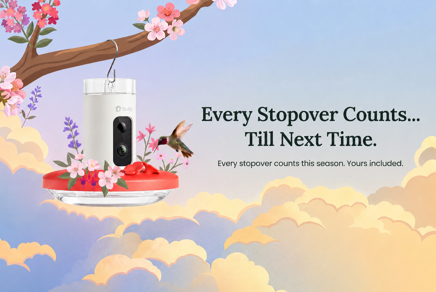 Birdfy Launches Hummingbird Migration Map, Connecting Backyards to a Nationwide Journey