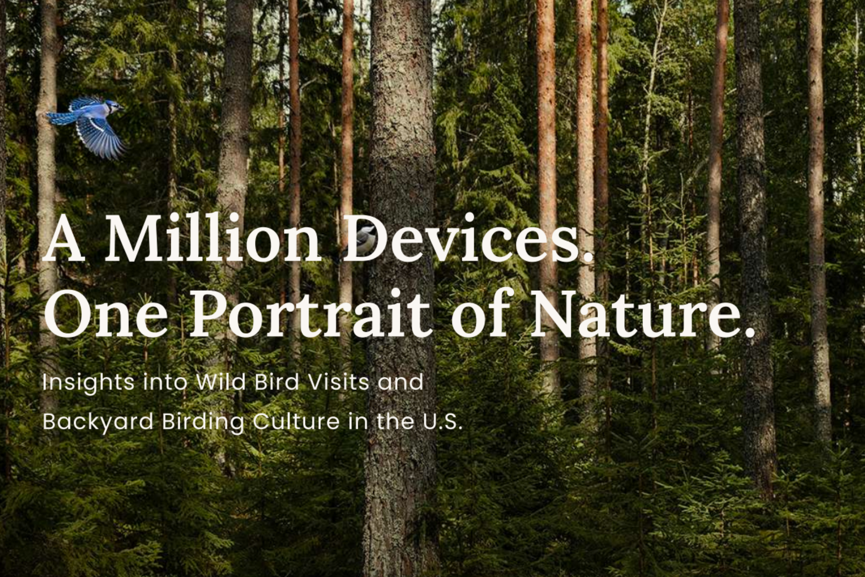 Birdfy Surpasses One Million Devices Sold as New Report Reveals 66 Bird Identifications Every Second