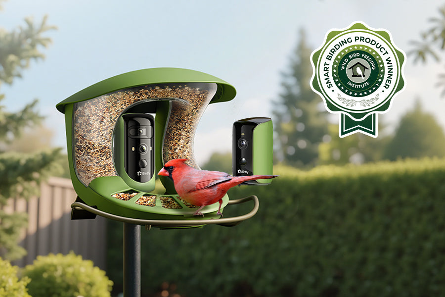 Birdfy Joins Wild Bird Feeding Institute's Board of Directors and Receives Industry Recognition for Flagship Product
