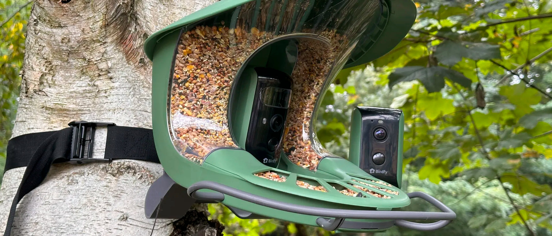 The Best Bird Feeder Camera 2025
