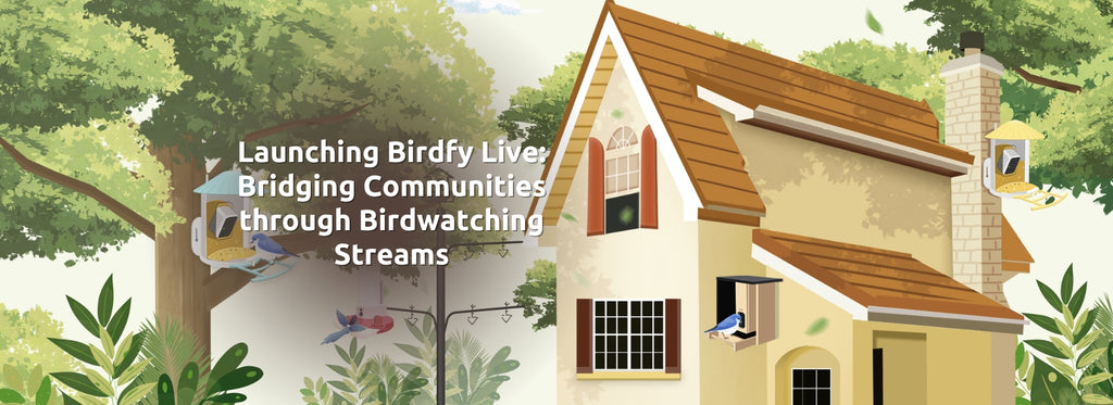 Launching Birdfy Live: Bridging Communities through Birdwatching Streams