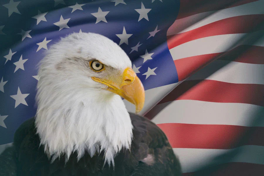 American eagle symbol